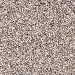 Prestige Saxony - 92 - 4m - F/B