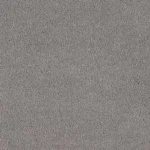 Avondale Plains - Silver 1894